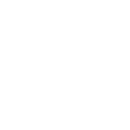 flag icon