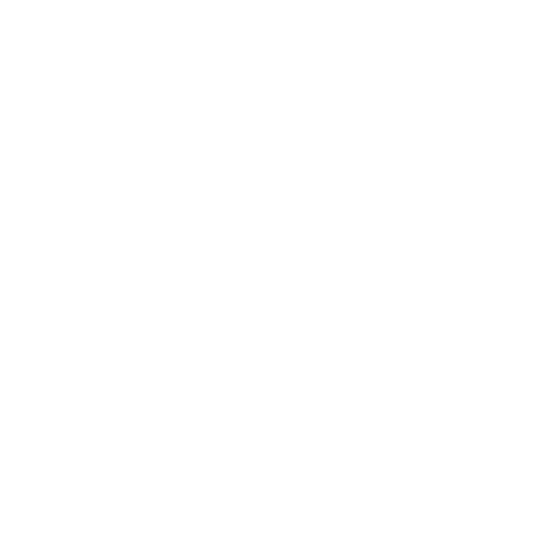 lightbulb icon